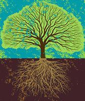 Health Transistions Therapy